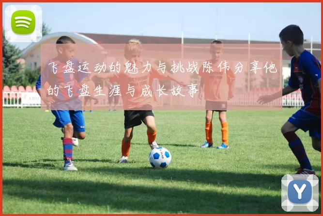 飞盘运动的魅力与挑战陈伟分享他的飞盘生涯与成长故事