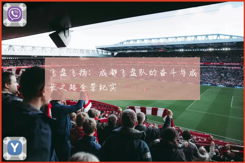 飞盘飞扬：成都飞盘队的奋斗与成长之路全景纪实