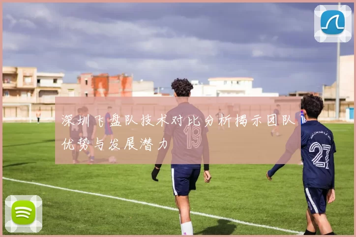 深圳飞盘队技术对比分析揭示团队优势与发展潜力