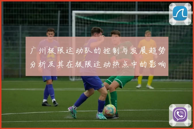 广州极限运动队的控制与发展趋势分析及其在极限运动热点中的影响