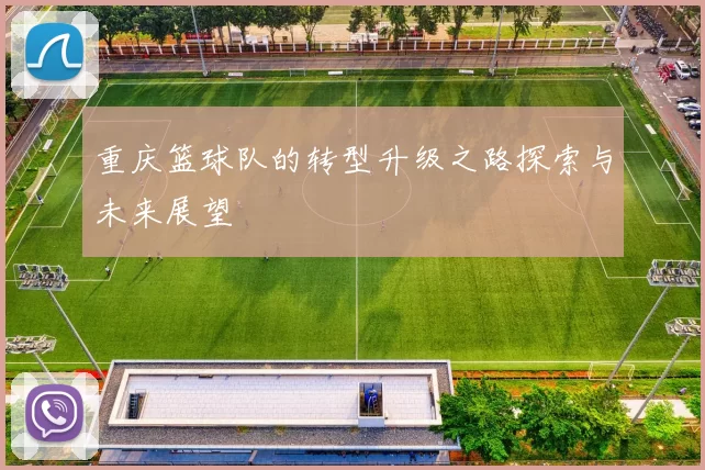 重庆篮球队的转型升级之路探索与未来展望