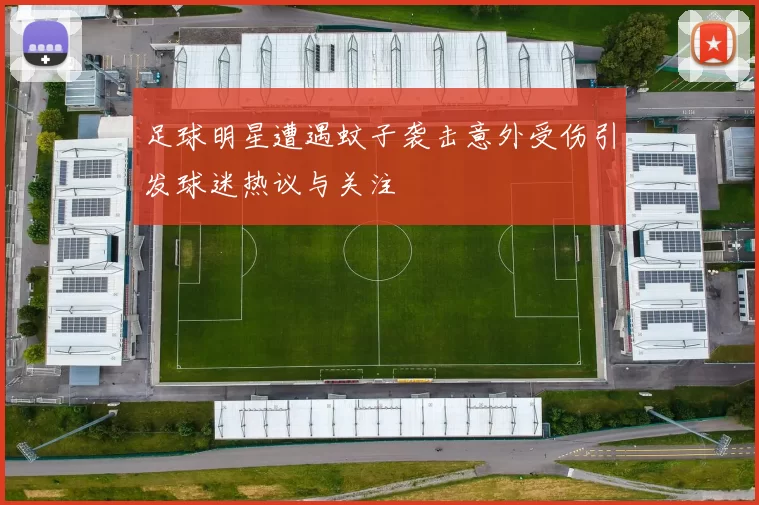足球明星遭遇蚊子袭击意外受伤引发球迷热议与关注