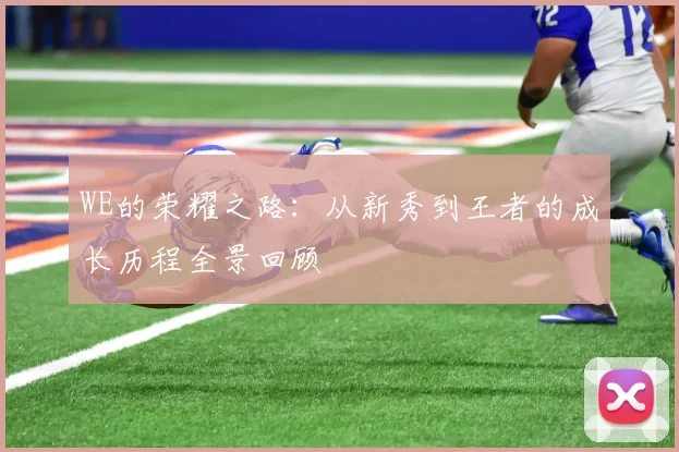 WE的荣耀之路：从新秀到王者的成长历程全景回顾