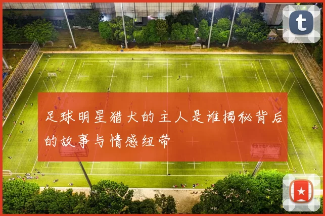 足球明星猎犬的主人是谁揭秘背后的故事与情感纽带