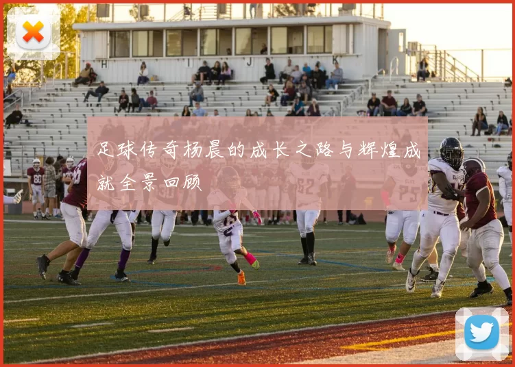 足球传奇杨晨的成长之路与辉煌成就全景回顾