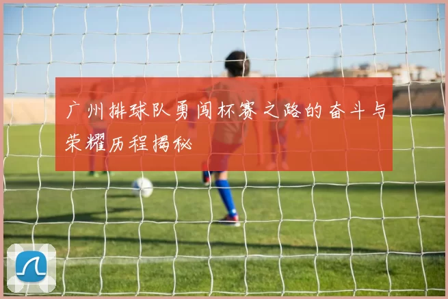 广州排球队勇闯杯赛之路的奋斗与荣耀历程揭秘
