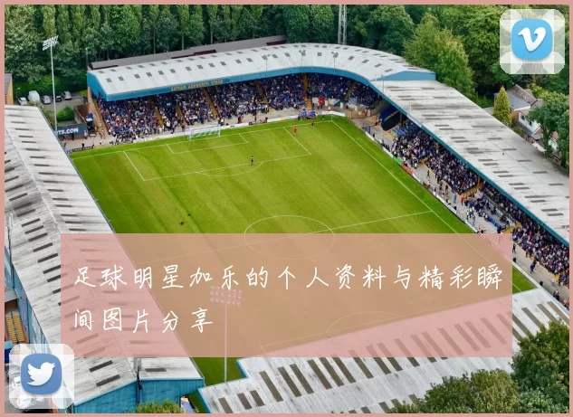 足球明星加乐的个人资料与精彩瞬间图片分享