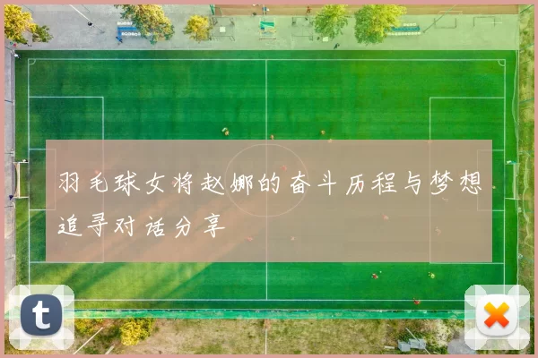羽毛球女将赵娜的奋斗历程与梦想追寻对话分享