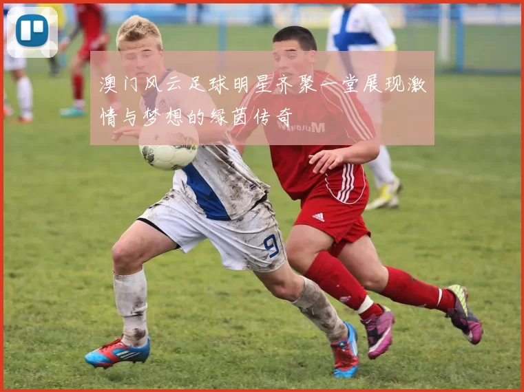 澳门风云足球明星齐聚一堂展现激情与梦想的绿茵传奇
