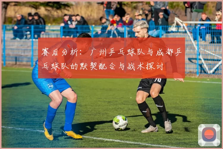 赛后分析：广州乒乓球队与成都乒乓球队的默契配合与战术探讨