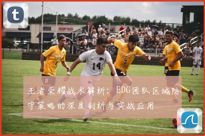 王者荣耀战术解析：EDG团队区域防守策略的深度剖析与实战应用