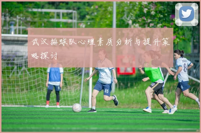 武汉排球队心理素质分析与提升策略探讨