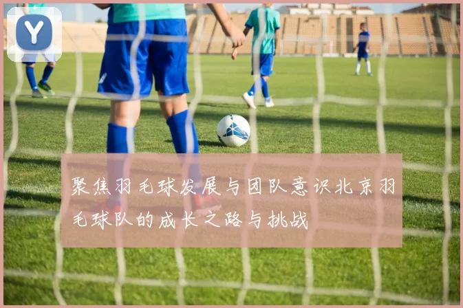 聚焦羽毛球发展与团队意识北京羽毛球队的成长之路与挑战