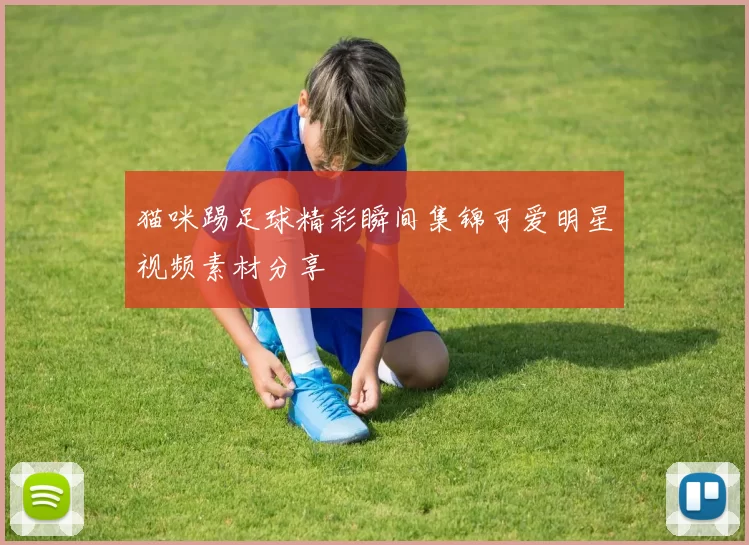 猫咪踢足球精彩瞬间集锦可爱明星视频素材分享