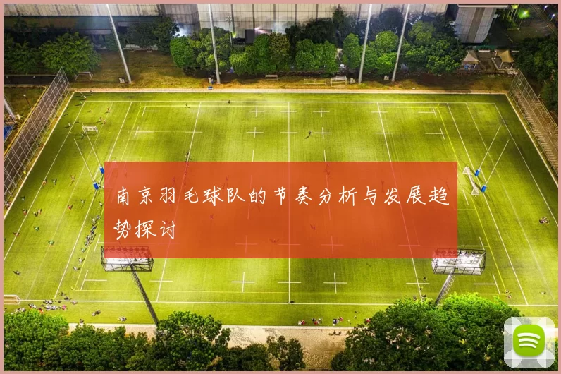 南京羽毛球队的节奏分析与发展趋势探讨