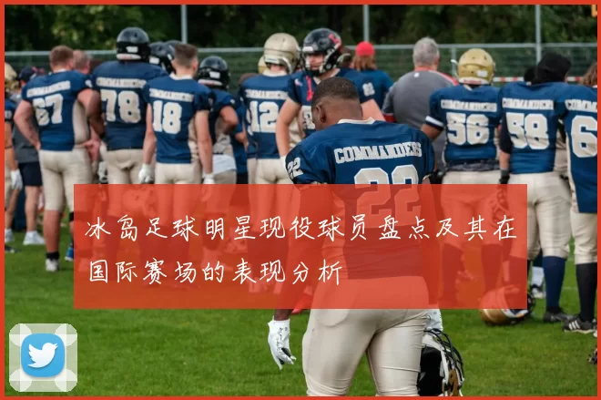 冰岛足球明星现役球员盘点及其在国际赛场的表现分析