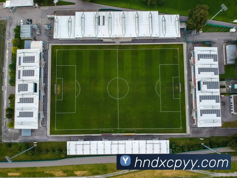 互动解说服务